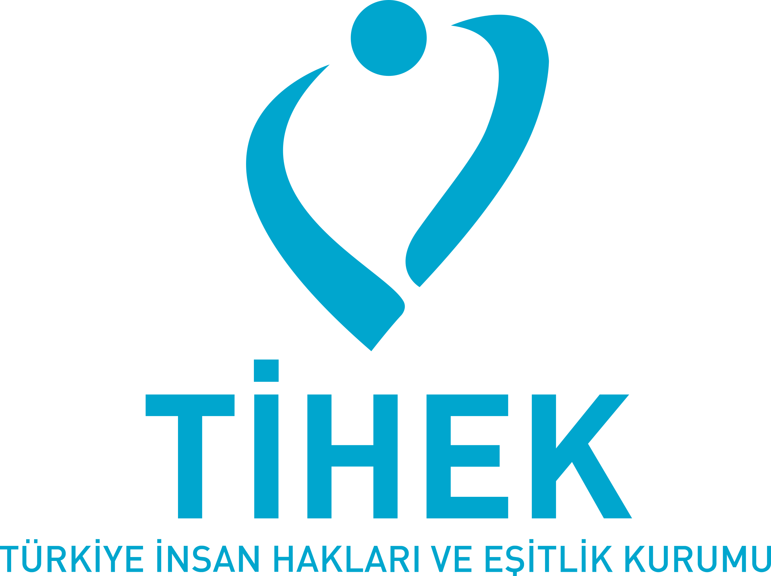 TİHEK Kararları